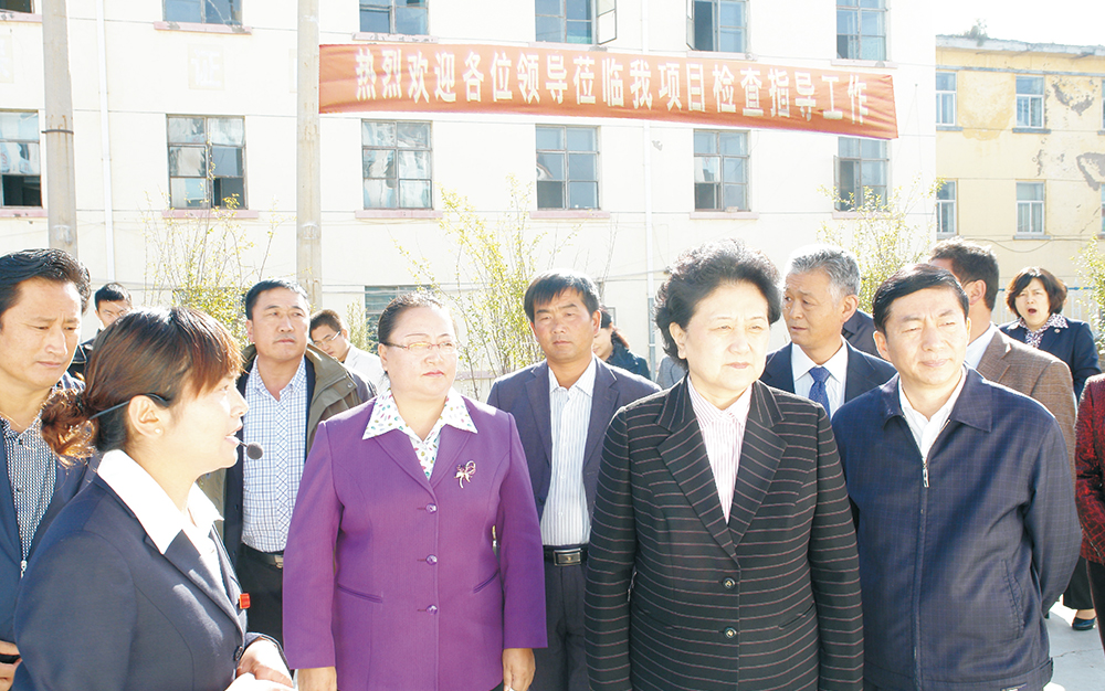 时任中央政治局委员，国务院副总理、党组成员刘延东视察湖北尊龙凯时-人生就是搏集团青海项目部