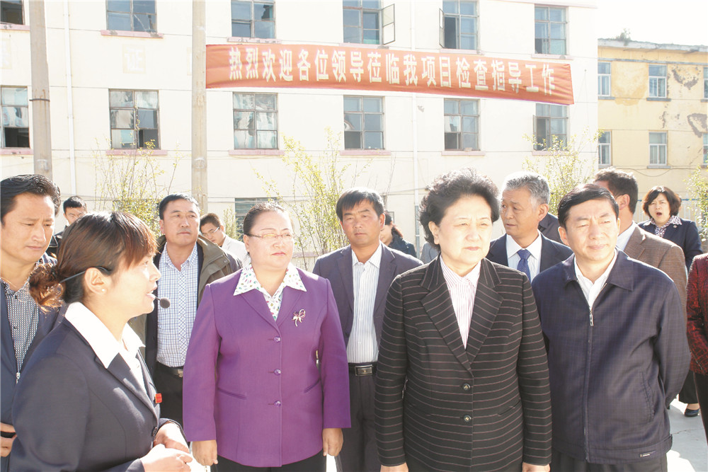 4中央政治局委员，国务院副总理、党组成员刘延东视察湖北尊龙凯时-人生就是搏集团青海项目部 